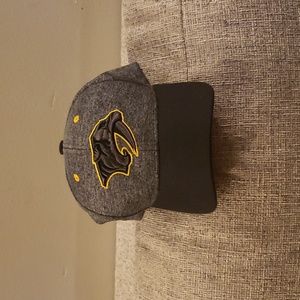 NWOT Nashville Predators Youth Hat